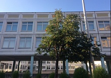 Школа № 867 ГБОУ